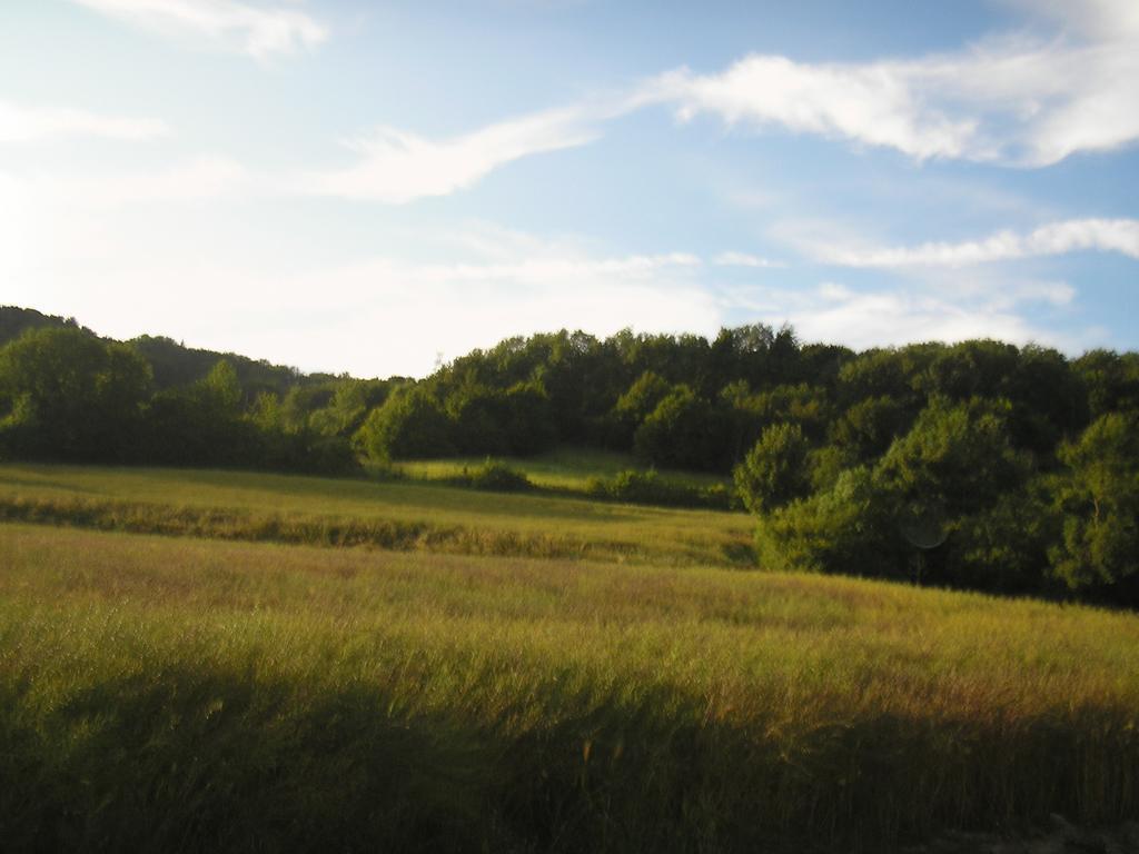 Gite "La Solitude" Licques Oda fotoğraf